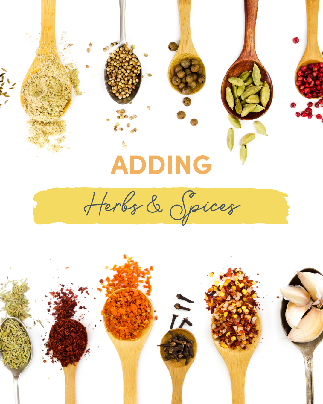 Adding Herbs and Spices to Baby Food – Mummy Cooks