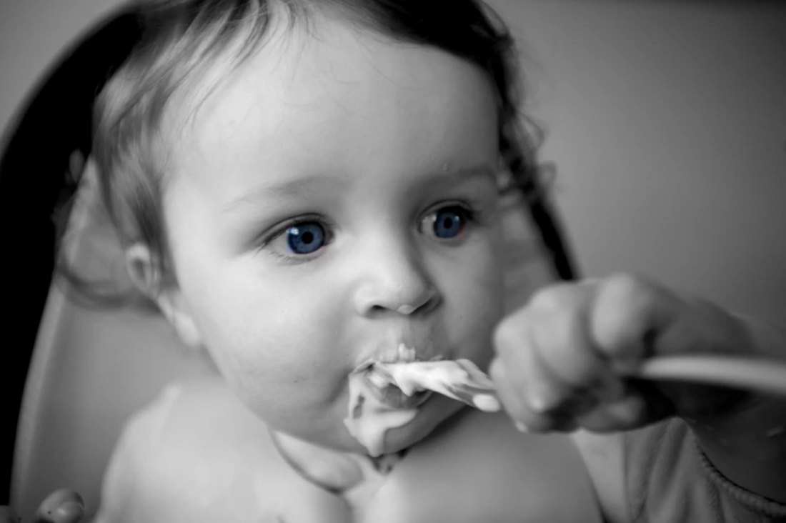 Introducing Dairy to your Weaning Baby
