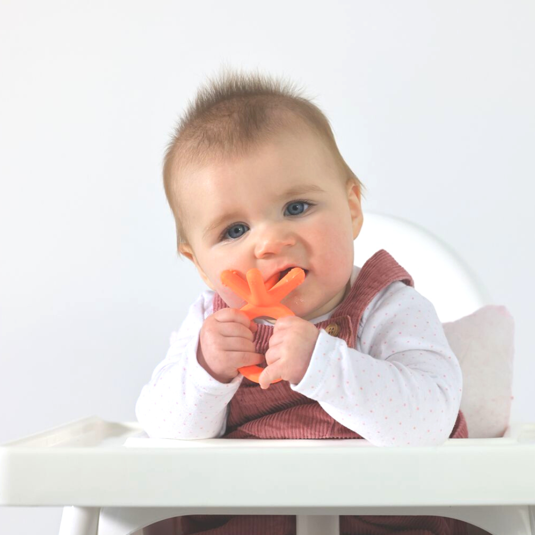 Quadropus, Orange teether toy, teething baby