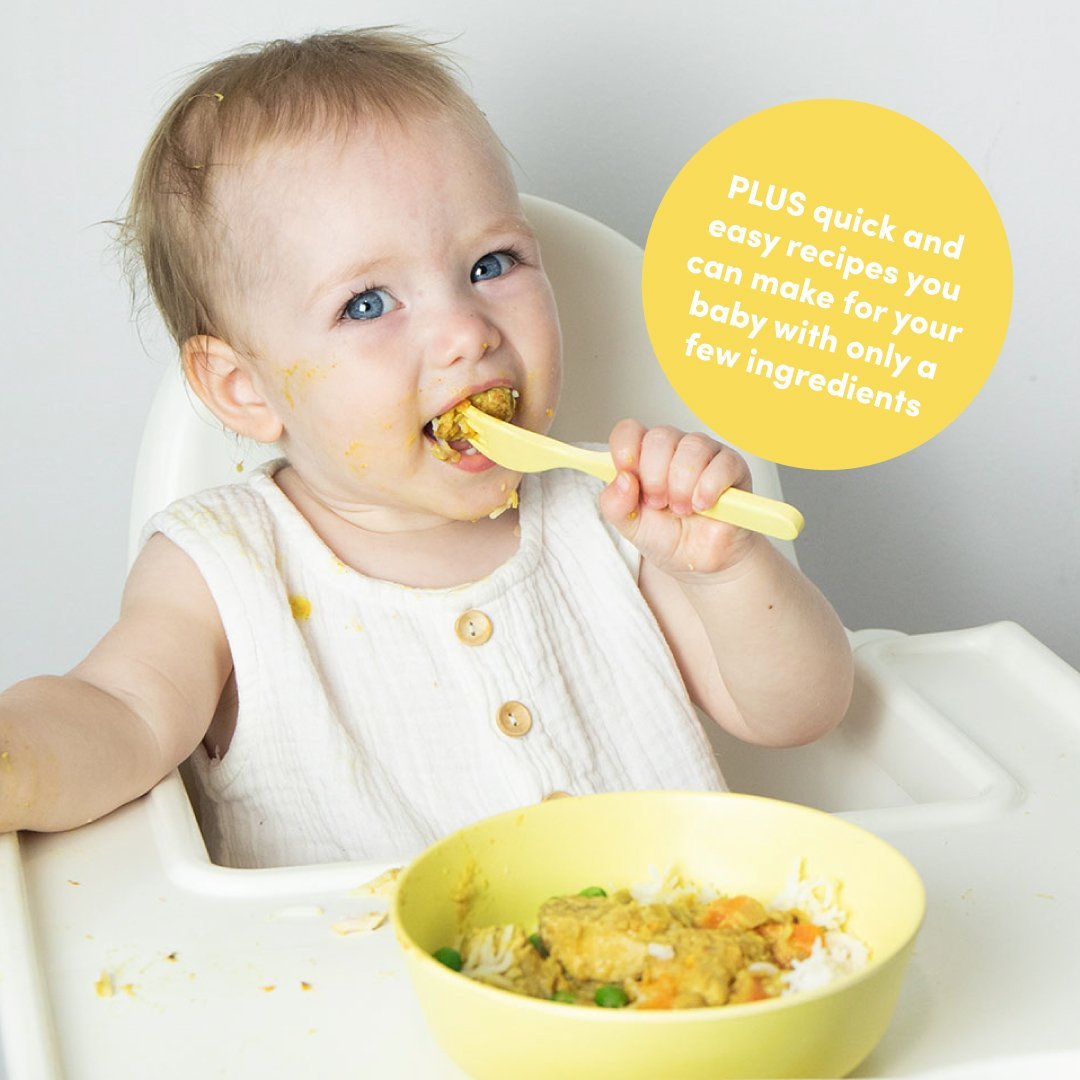 Travel with Baby E-Book