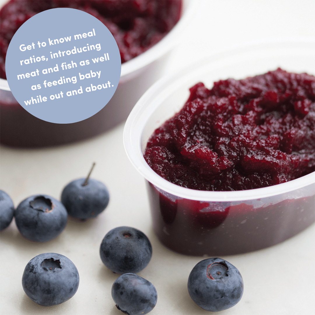 beetroot & blueberry puree