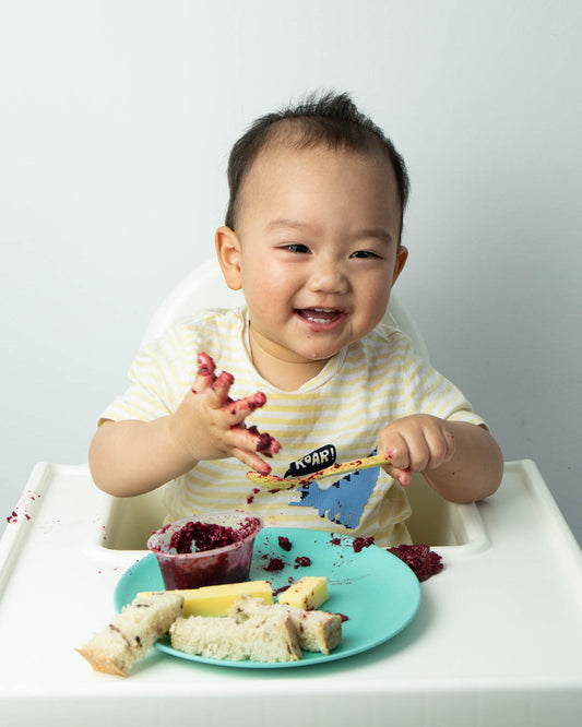 Weaning Guide And Recipes