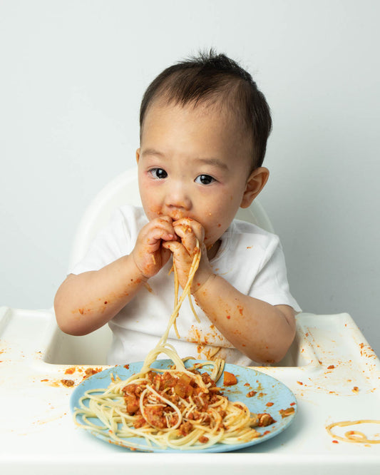 When to Introduce Meat to Baby