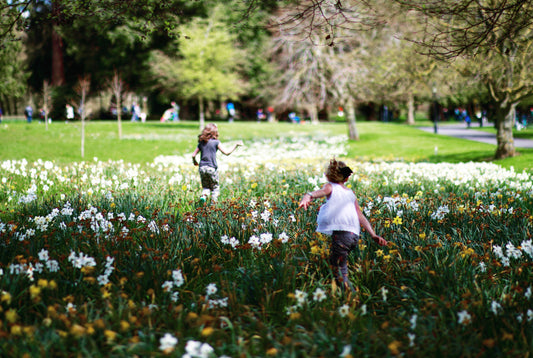 My Top Ten Summer Recipes for Kids