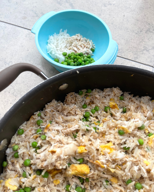 Easy Shredded Chicken