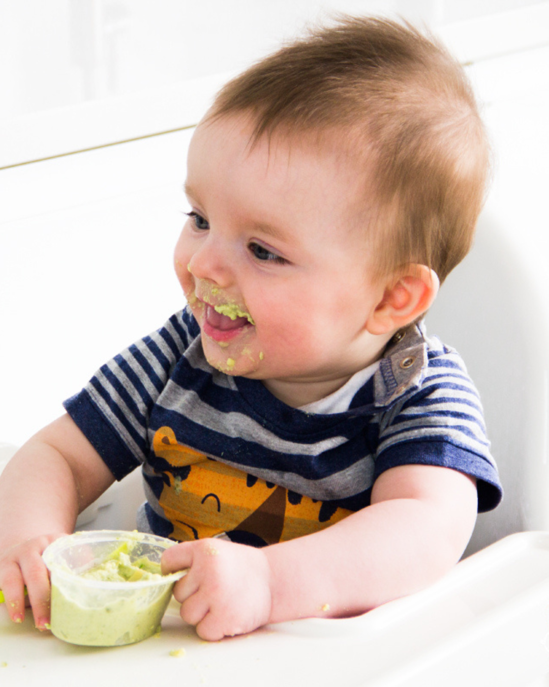 Weaning Recipes 6-12 months
