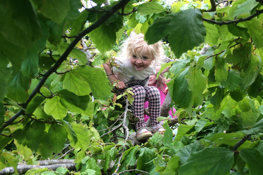 Your Go-to Guide for Family Days Out