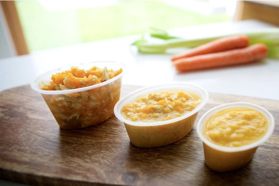 Chicken and Vegetable Puree