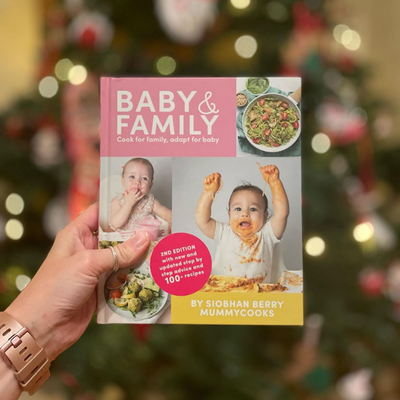 Baby and family recipe book, cookbook, family meals, baby friendly meals, 