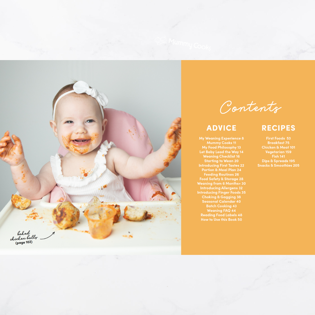 Baby and Family Recipe Book 2nd Edition