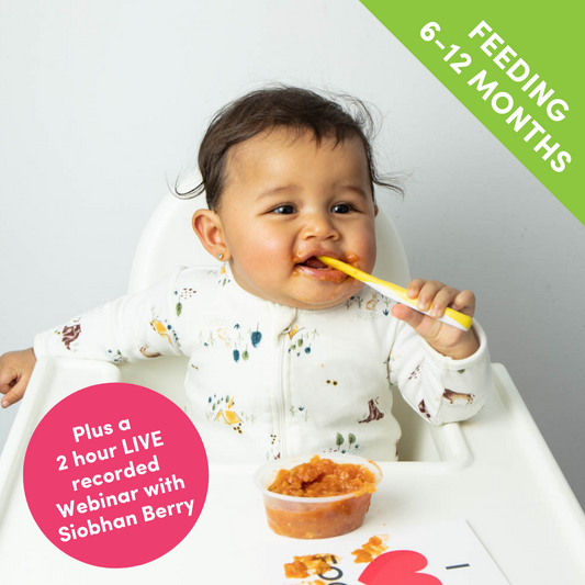 8 Hour Baby Food Flask Perfect for baby food