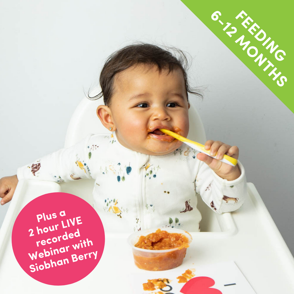Healthy Snacks for your Baby 9-12 mths – Mummy Cooks