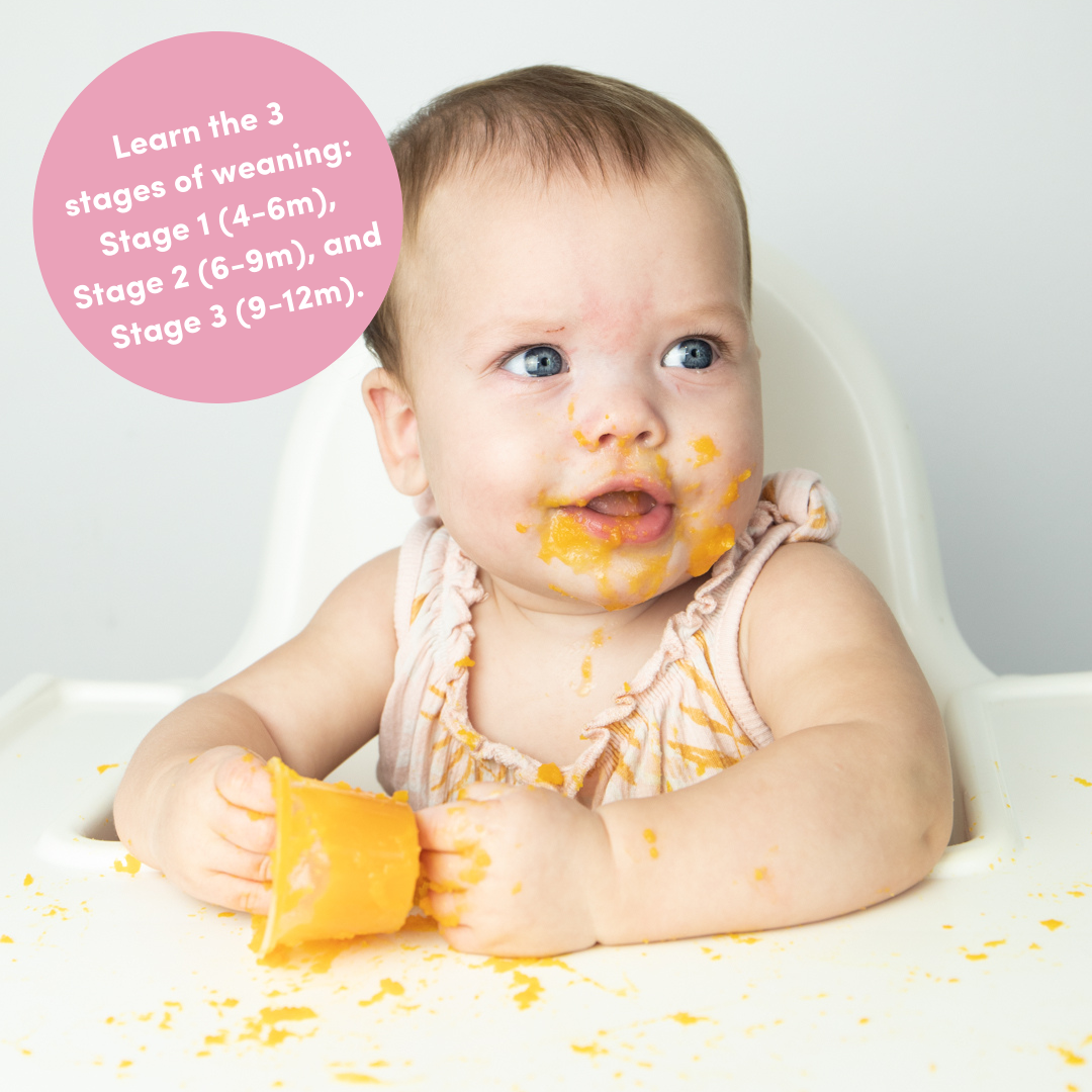 weaning wednesday image, baby in highchair. messy finger food